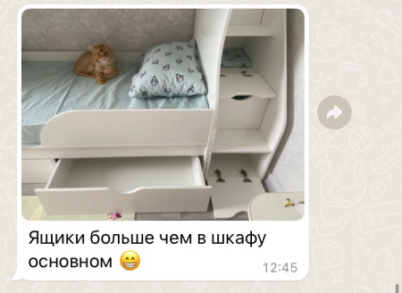 Двухъярусная кровать 180х80 Альфа (цвет белый) от Династия Kids